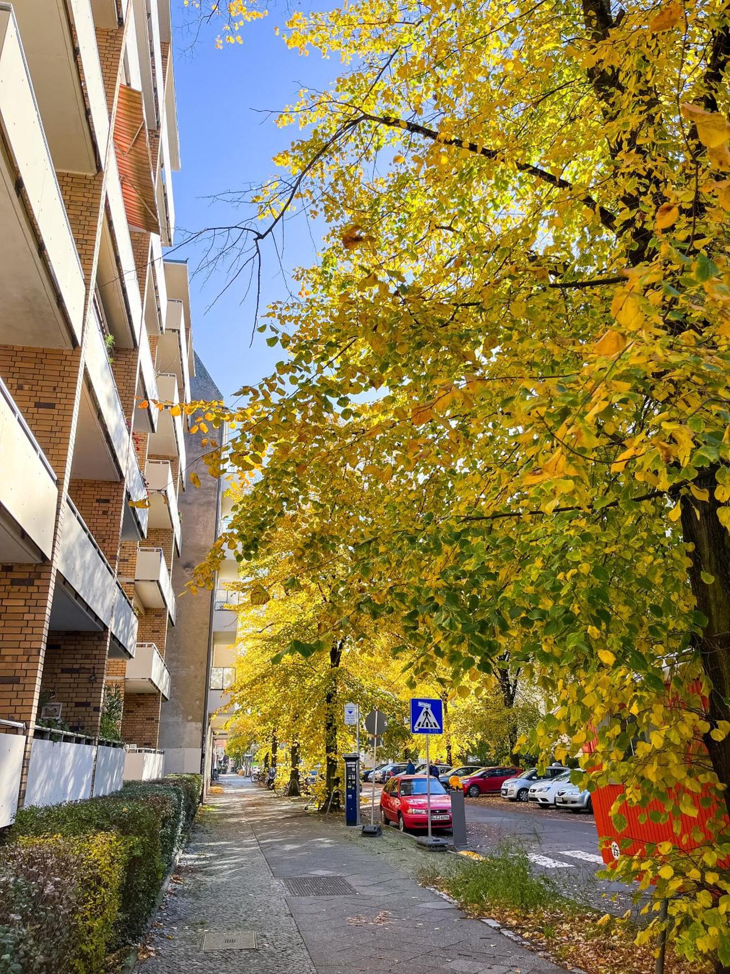 01 Bedroom In Mitte-Up To 5 People-Private Free Parking Berlín Exterior foto